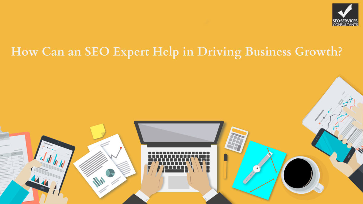 How Can an SEO Expert Help in Driving Business Growth?