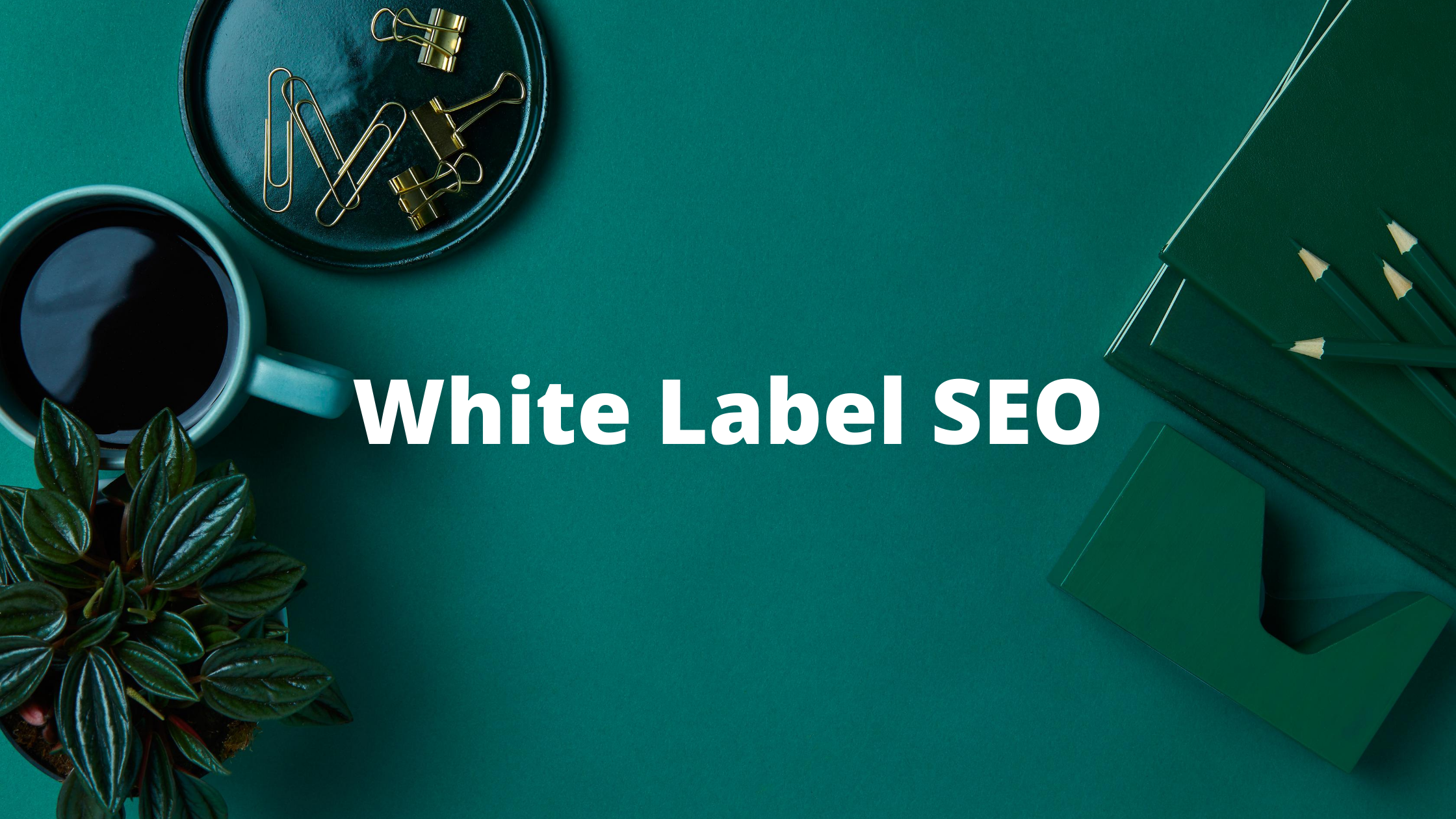 White Label SEO