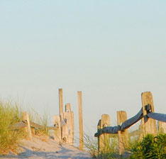 Ocean City NJ paddle boat