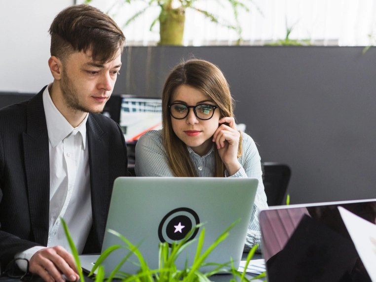 SEO Services Consultants