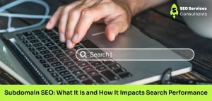 Subdomain SEO: What It Is and How It Impacts Search Performance