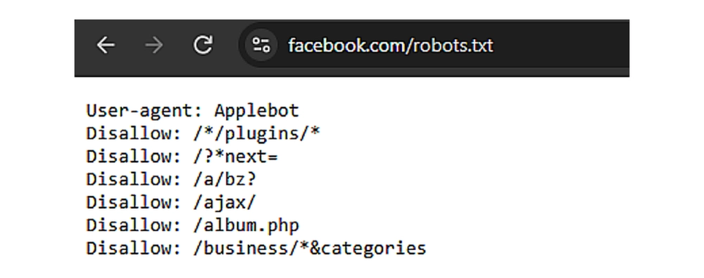 robots-text-im1